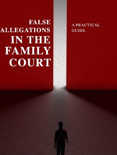 Navigating False Allegations in Family Court - A Practical Guide