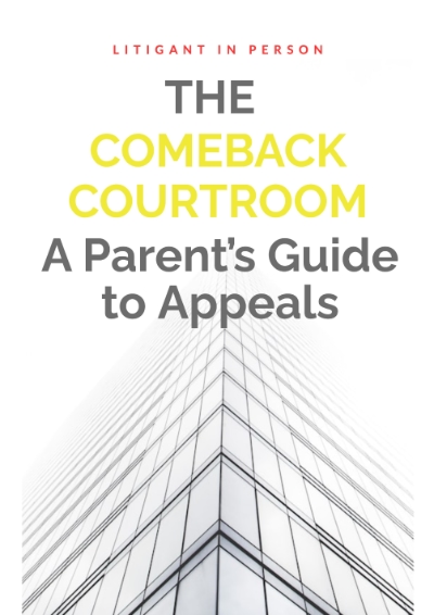 The Self-Represented Parent’s Guide to Family Court Appeals
